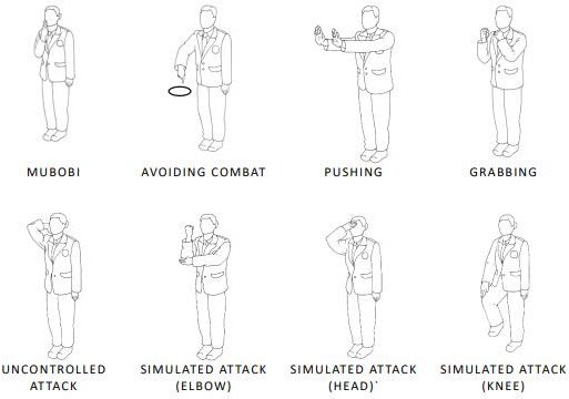 8 фигур судьи: MUBOBI, AVOIDING COMBAT, PUSHING, GRABBING, UNCONTROLLED ATTACK, SIMULATED ATTACK (ELBOW), SIMULATED ATTACK (HEAD), SIMULATED ATTACK (KNEE)