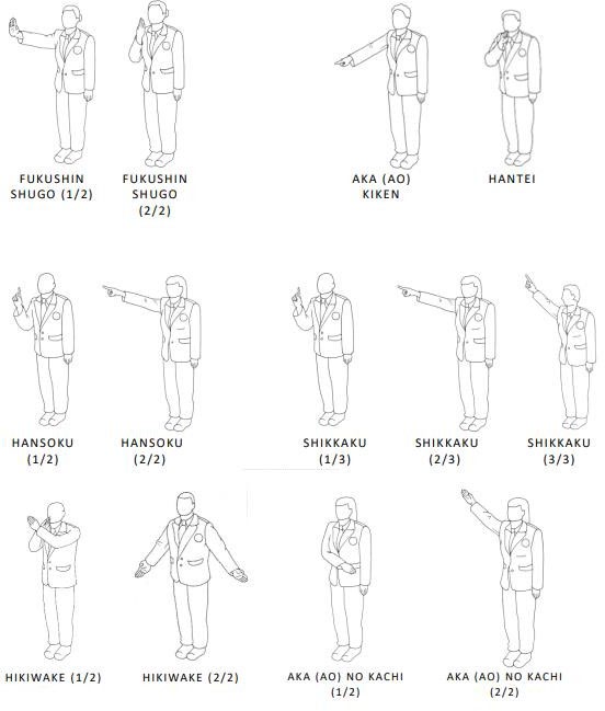 15 фигур судьи: FUKUSHIN SHUGO (1/2, 2/2), AKA (AO) KIKEN, HANTEI, HANSOKU (1/2, 2/2), SHIKKAKU (1/3, 2/3, 3/3), HIKIWAKE (1/2, 2/2), AKA (AO) NO KACHI (1/2, 2/2)