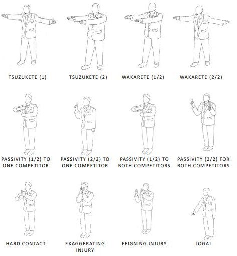 12 фигур судьи: TSUZUKETE (1,2), WAKARETE (1/2, 2/2), PASSIVITY (к одному сопернику, 1/2 и 2/2; к обоим соперникам, 1/2 и 2/2), HARD CONTACT, EXAGGERATING INJURY, FEIGNING INJURY, JOGAI
